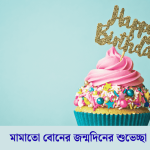 মামাতো বোনের জন্মদিনের শুভেচ্ছা